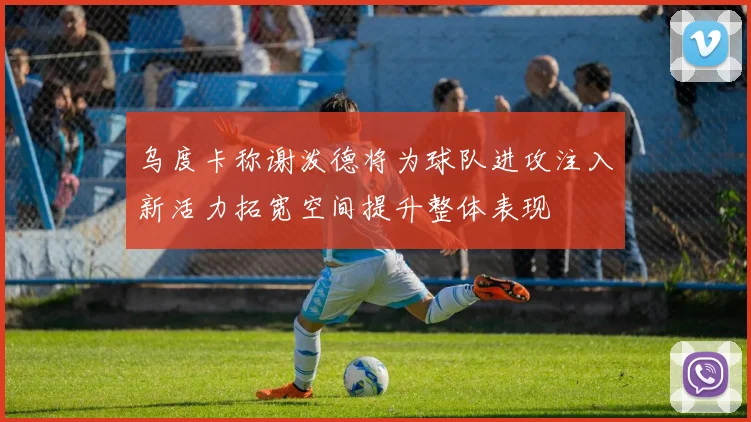 乌度卡称谢泼德将为球队进攻注入新活力拓宽空间提升整体表现